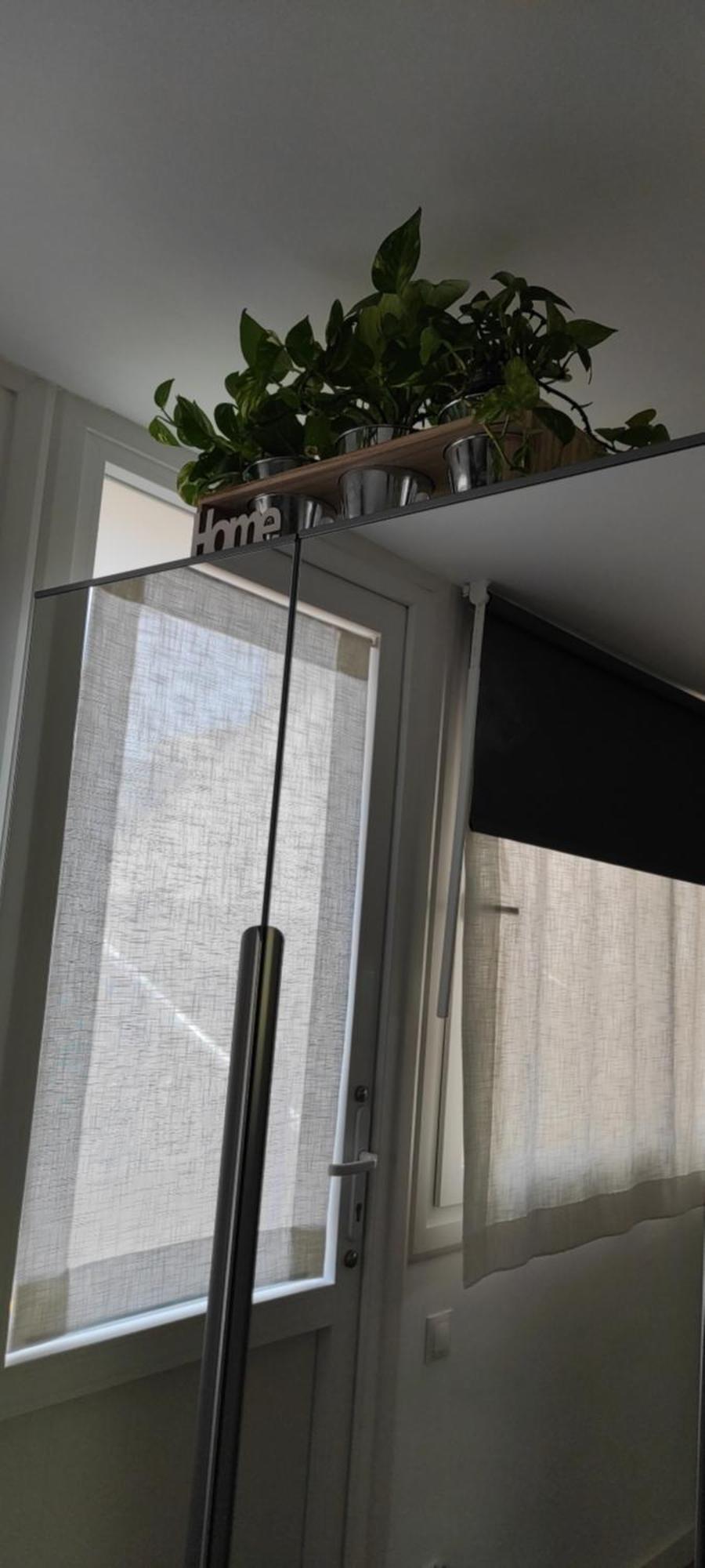 Aloha Paraiso Appartement *