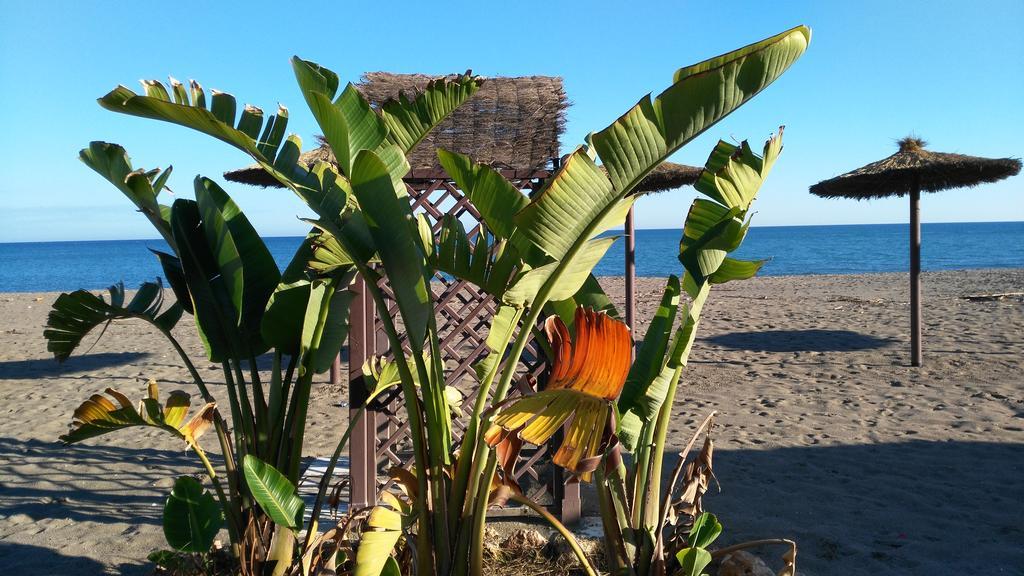Aloha Paraiso * Torremolinos
