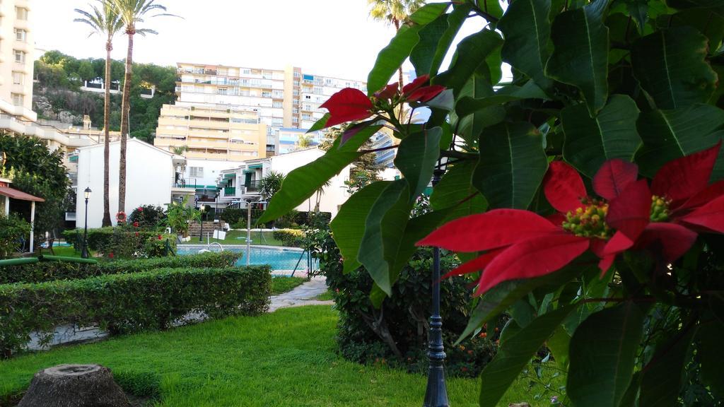Aloha Paraiso * Torremolinos